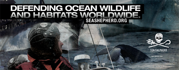 sea-shepherd-banner